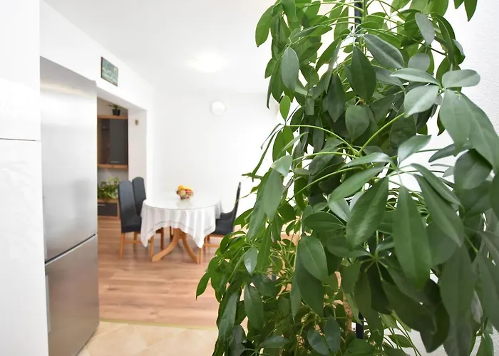 Apartman Vjeko Primosten