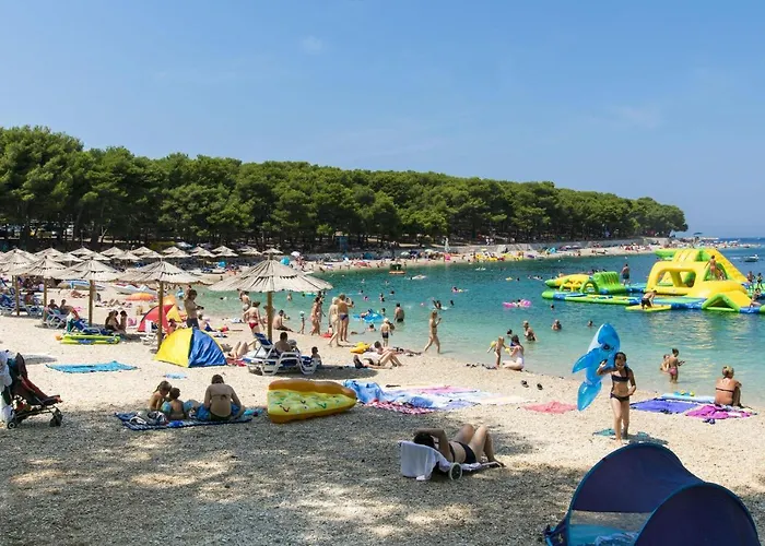 Vjeko 프리모스턴